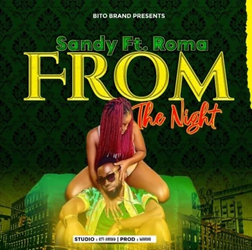 Sandy - From The Night (feat. Roma)