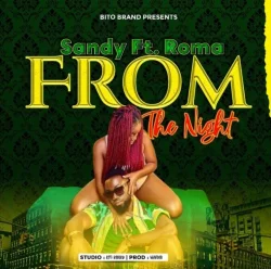Sandy - From The Night (feat. Roma)