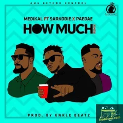 Sarkodie - How Much (Remix)