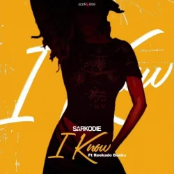 Sarkodie - I Know (feat. Reekado Banks)
