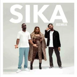 Sarkodie - Sika (Remix)