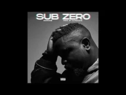 Sarkodie - Sub Zero (Asem Diss)