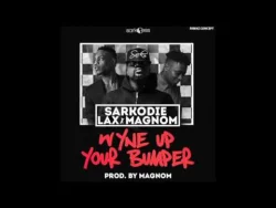 Sarkodie - Wyne Up Your Bumper (feat. LAX & Magnom)