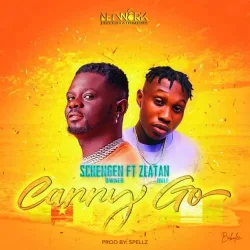 Schengen Owner - Owner Carry (feat. Zlatan Ibile)