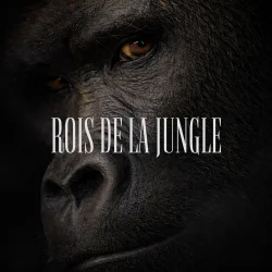 Scylla - ROIS DE LA JUNGLE (feat. Furax Barbarossa)