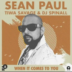Sean Paul - When It Comes To You ( Remix) (feat. Tiwa Savage & DJ Spinall)