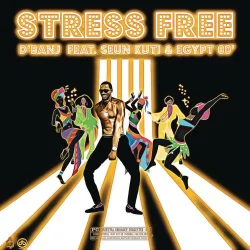 Seun Kuti - Stress Free