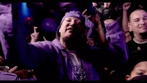 Sevin - Purple On Down