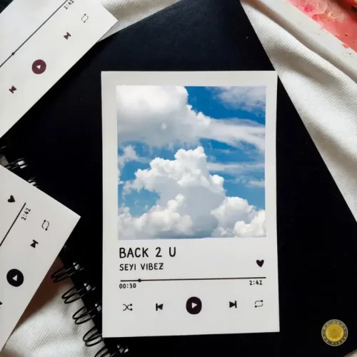 Seyi Vibez - BACK 2 U