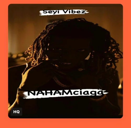 Seyi Vibez - Cana