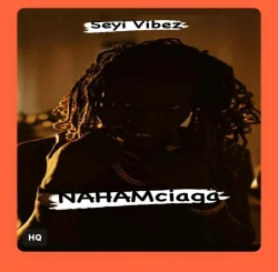 Seyi Vibez - Cana