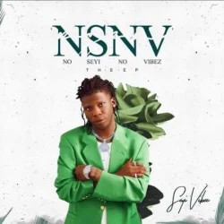 Seyi Vibez - NSNV (2021)