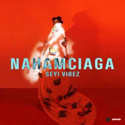 Seyi Vibez - Nahamciaga (2023)