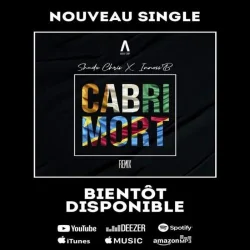 Shado Chris - Cabri Mort (Remix)