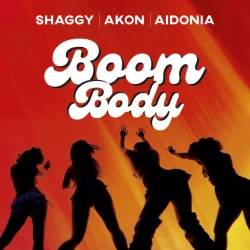 Shaggy - Boom Body (feat. Akon & Aidonia)