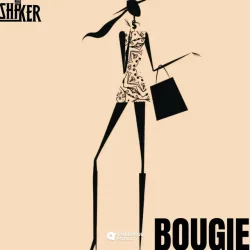 Shaker - Bougie
