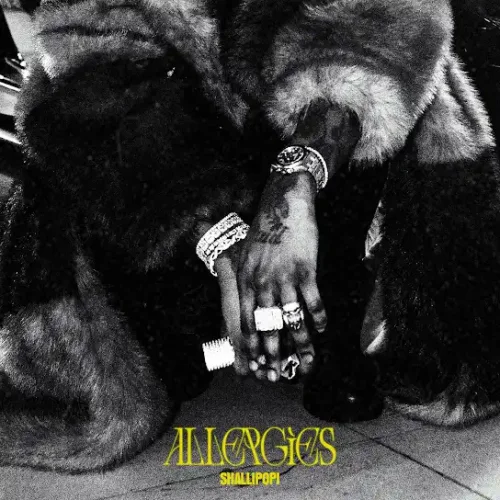 Shallipopi - Allergies