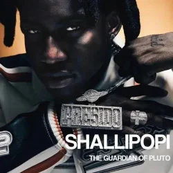 Shallipopi - Matter