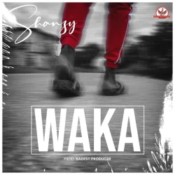 Shanzy Bebe - Waka