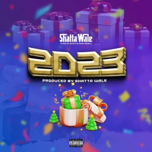 Shatta Wale - 2023