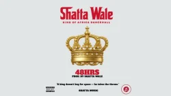 Shatta Wale - 48hrs