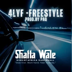 Shatta Wale - 4lYF (Freestyle)