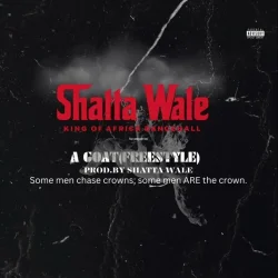 Shatta Wale - A Goat (Freestyle)