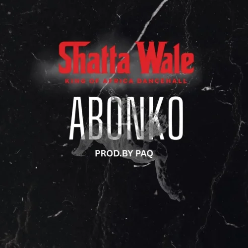 Shatta Wale - Abonko