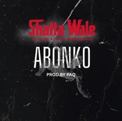 Shatta Wale - Abonko (feat. Abonko)