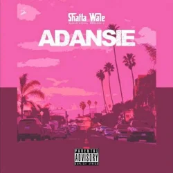 Shatta Wale - Adansi3 (Testimony)