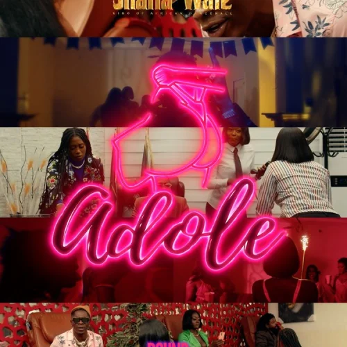 Shatta Wale - Adole