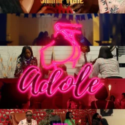 Shatta Wale - Adole
