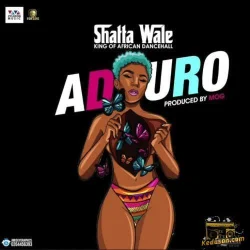 Shatta Wale - Aduro