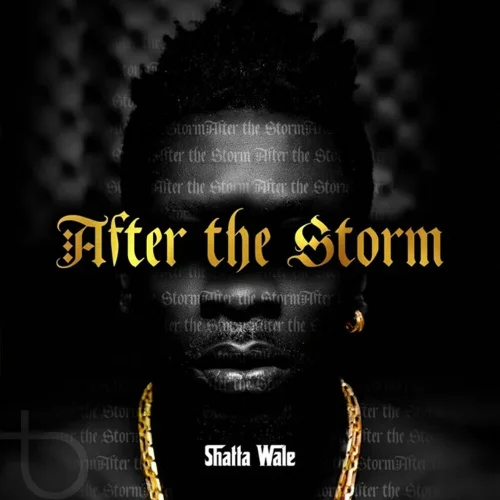 Shatta Wale - Champion