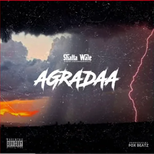 Shatta Wale - Agradaa
