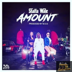 Shatta Wale - Amout