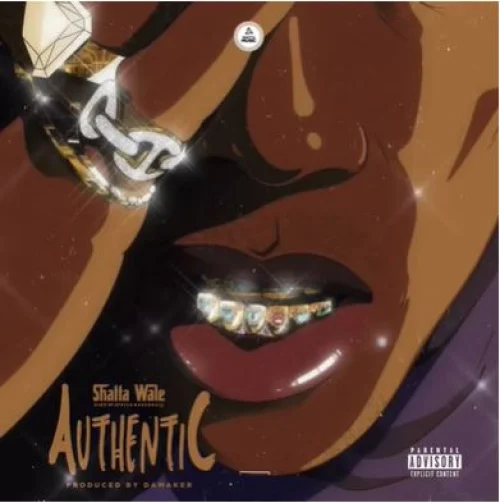 Shatta Wale - Authentic