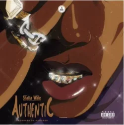 Shatta Wale - Authentic