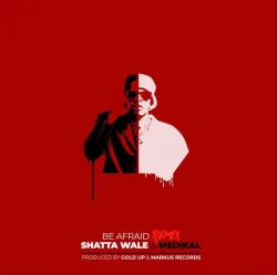 Shatta Wale - Be Afraid (Remix) (feat. Medikal)