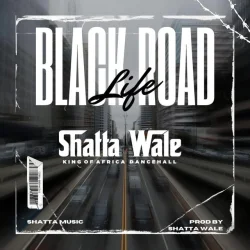 Shatta Wale - Black Road