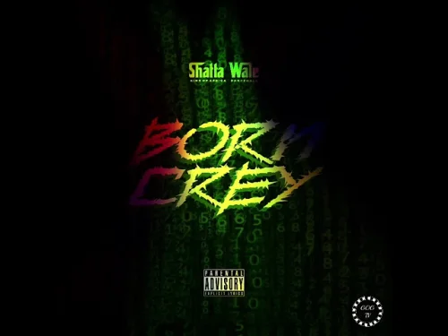 Shatta Wale - Born Crey
