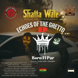 Shatta Wale - Boss A Di Whole Place
