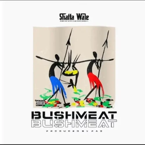 Shatta Wale - Bushmeat