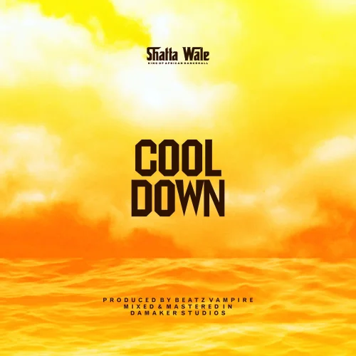 Shatta Wale - Cool Down