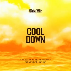 Shatta Wale - Cool Down