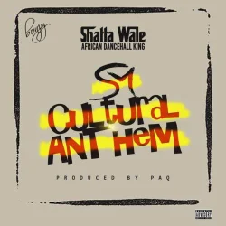 Shatta Wale - Cultural Anthem