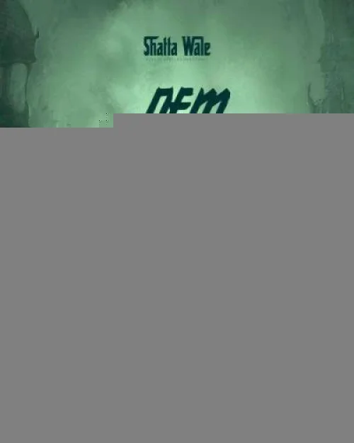 Shatta Wale - Dem Possess