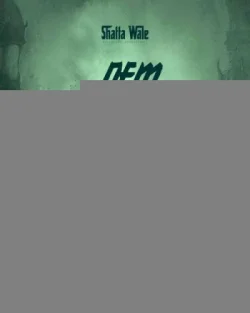 Shatta Wale - Dem Possess