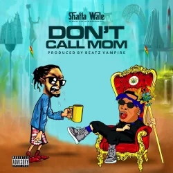 Shatta Wale - Don't Call Mom