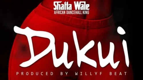 Shatta Wale - Dukui